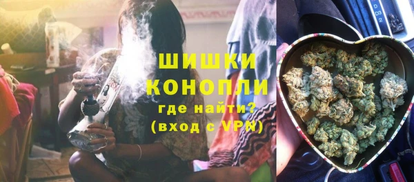 крисы Инта